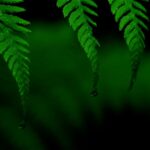 Photo by Chris Petrow on Unsplash
